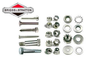 Vis et bolt og skruer til Briggs & Stratton